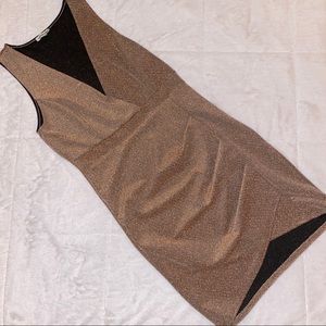 Champagne Shimmer Dress